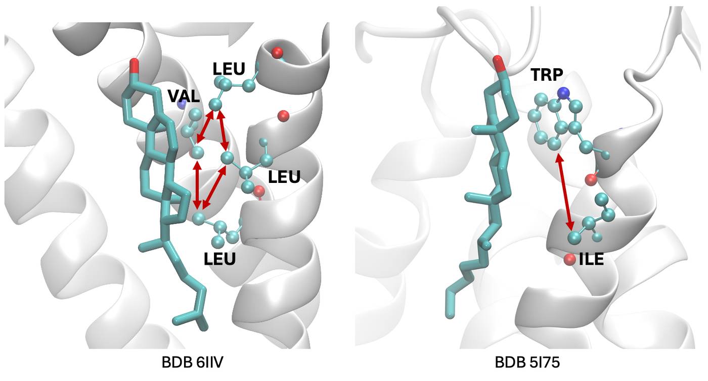 Two helix structures with cholesterol and the residues the model weighted most