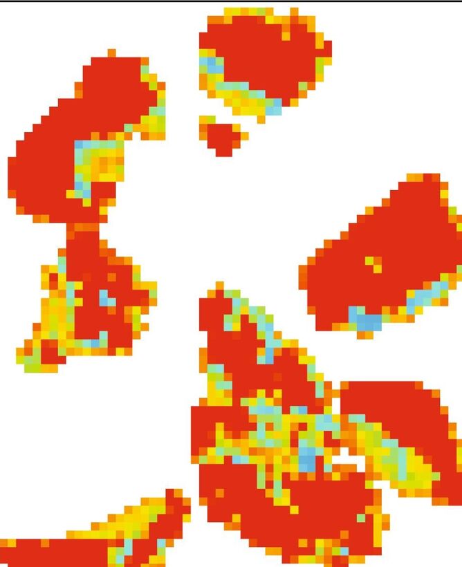 Deep-Hipo probability map over a multi-fragment gastric slide
